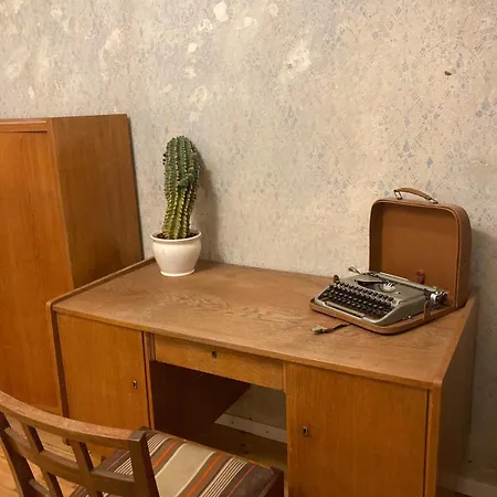 In Schoener Atelierwohnung Mit Gartenblick Apartament Drezno