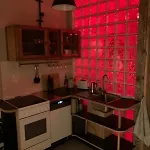 In Schoener Atelierwohnung Mit Gartenblick دريسدن