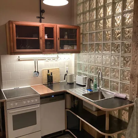 In Schoener Atelierwohnung Mit Gartenblick Appartement