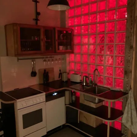In Schoener Atelierwohnung Mit Gartenblick דרזדן