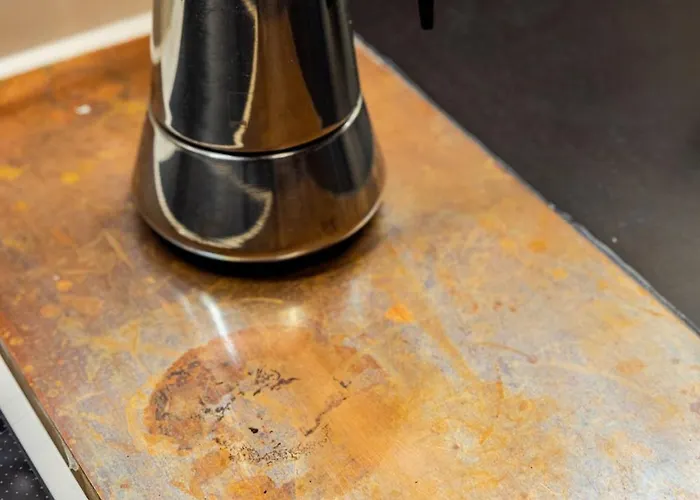 In Schoener Atelierwohnung Mit Gartenblick アパート ドレスデン